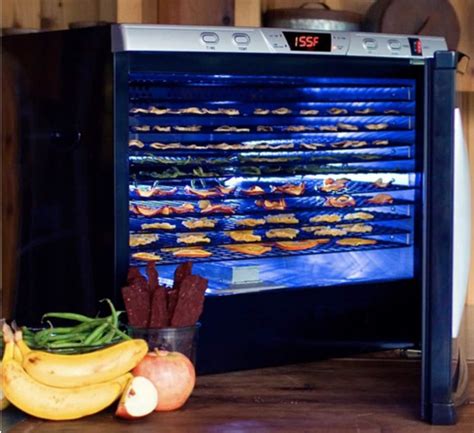 dehydrator machine for home|7 Best Food Dehydrators, Tested by Experts .